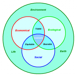 Sustainability Development Diagram