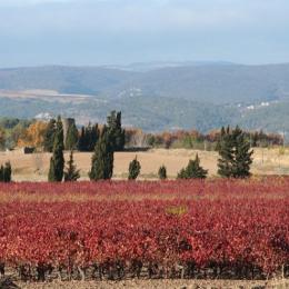 Minerve