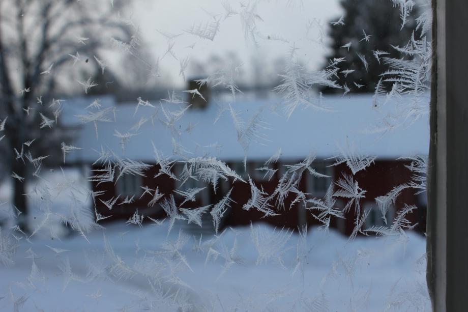 ice flowers